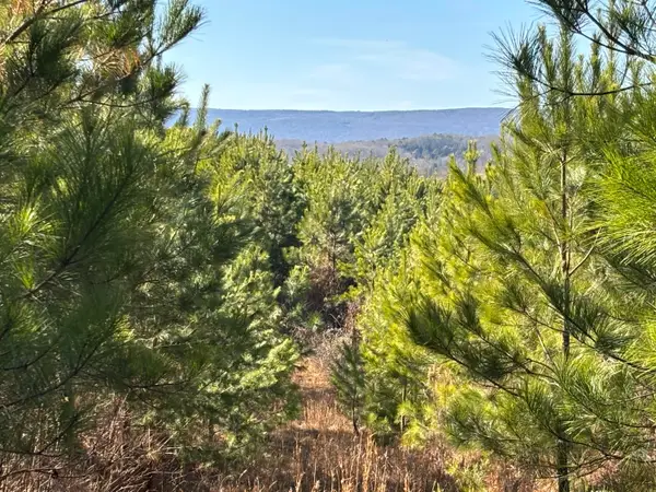 0 Dividing Ridge Road, Spring City, TN 37381