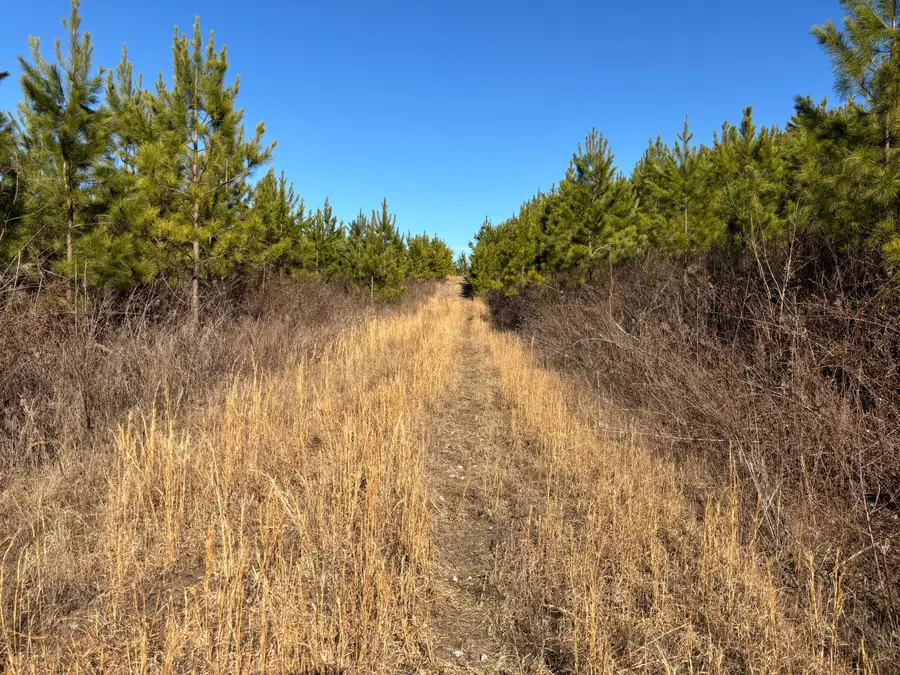 0 Dividing Ridge Road, Spring City, TN 37381 - Image #2