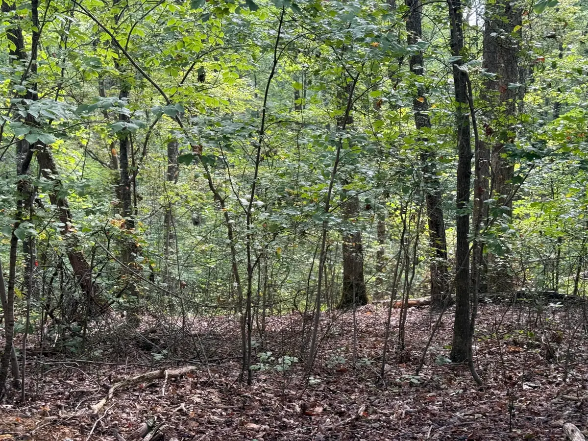 64 Riddle Street, Dayton, TN 37321 - Image #1