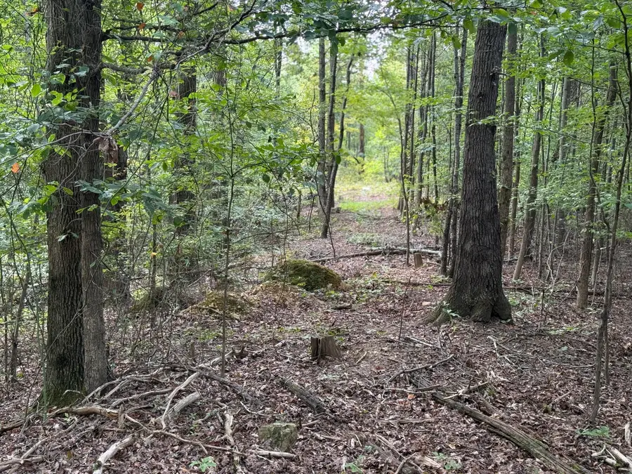 64 Riddle Street, Dayton, TN 37321 - Image #2