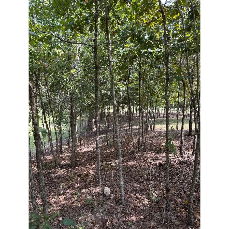 16653 N Star Circle, Sale Creek, TN 37373 - Image #2