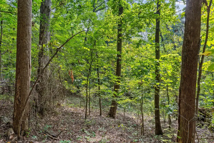 2255 Nickajack Road, Flintstone, GA 30725 - Image #2