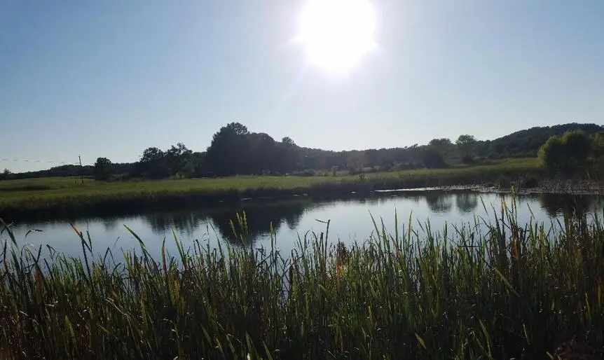 8388 Old Spencer Road, Pikeville, TN 37367 - Image #1