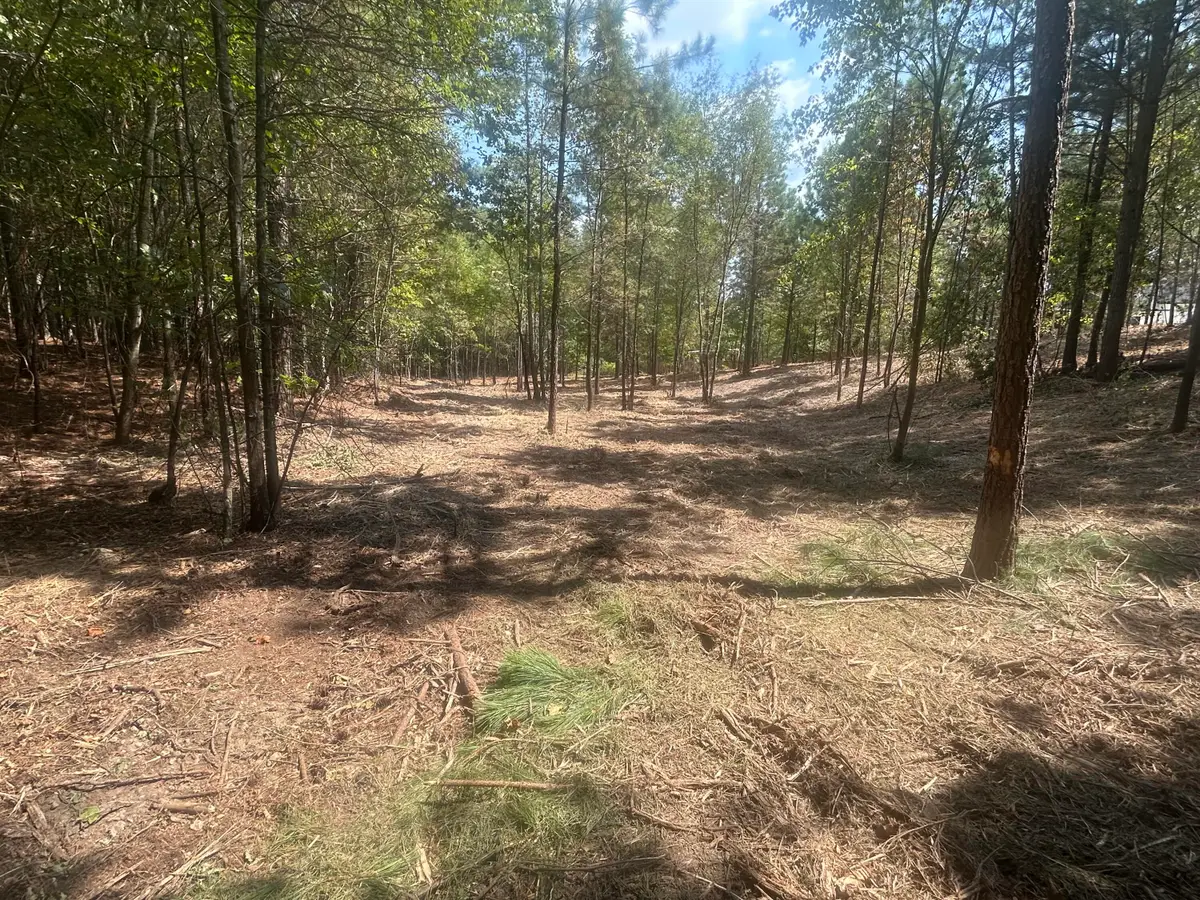 13 Stonechase Lane, Cohutta, GA 30710 - Image #1