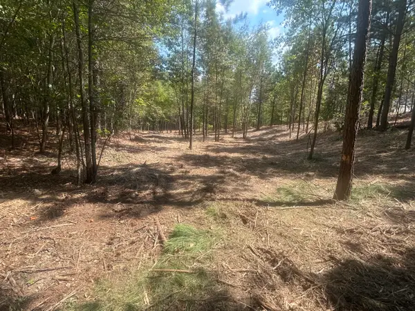 13 Stonechase Lane, Cohutta, GA 30710