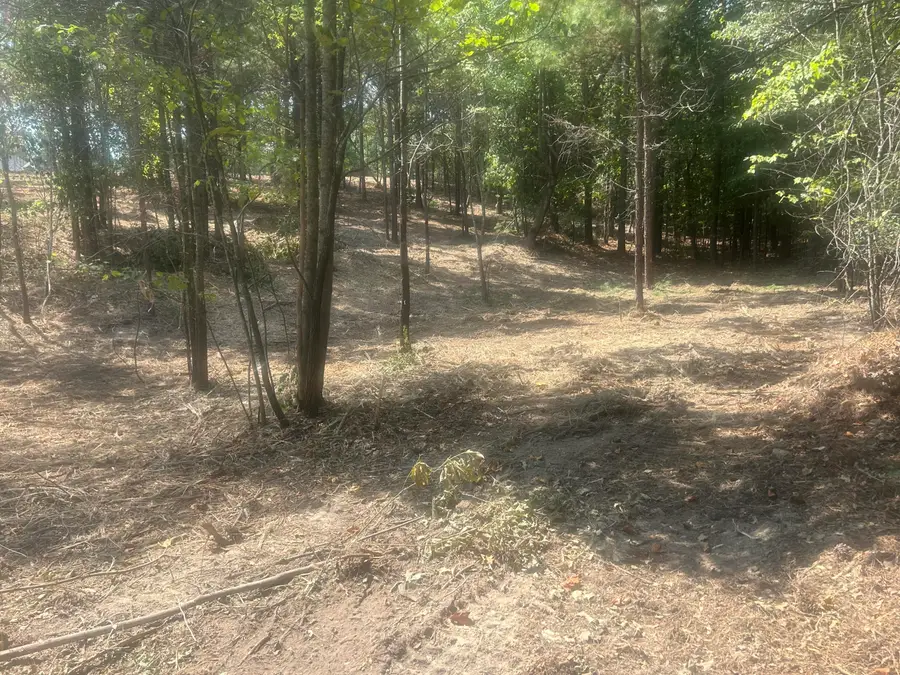 13 Stonechase Lane, Cohutta, GA 30710 - Image #3