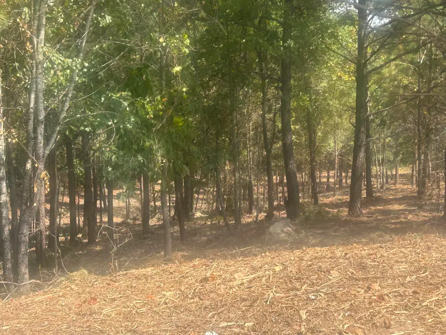 14 Stonechase Lane, Cohutta, GA 30710 - Image #3