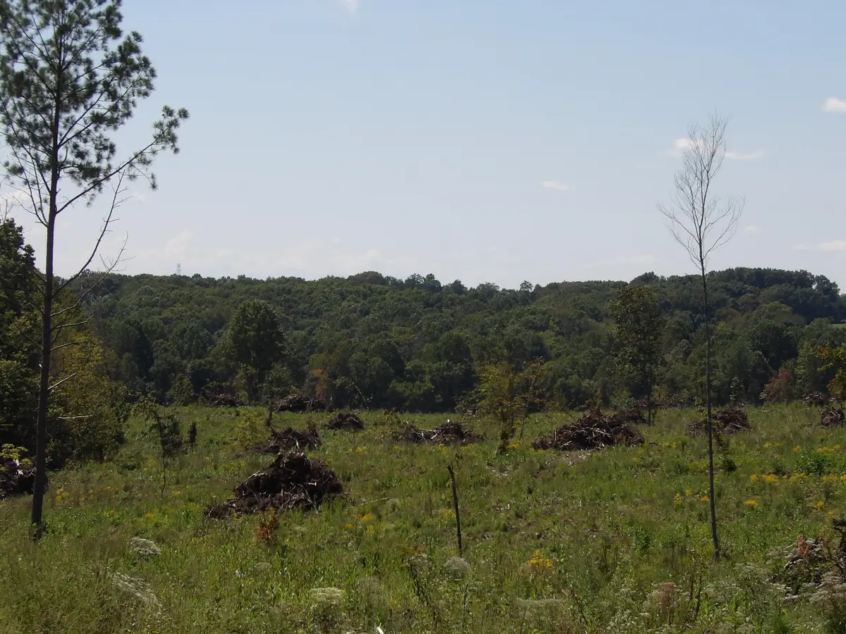 100 Summer City Road, Evensville, TN 37332 - Image #1