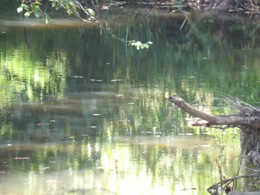 100 Summer City Road, Evensville, TN 37332 - Image #3