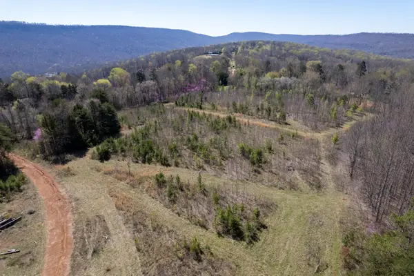 3607 Co Rd 792, Flat Rock, AL 35966