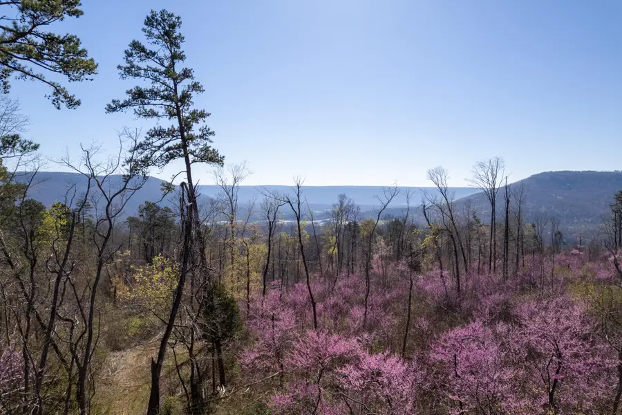 3607 Co Rd 792, Flat Rock, AL 35966 - Image #2