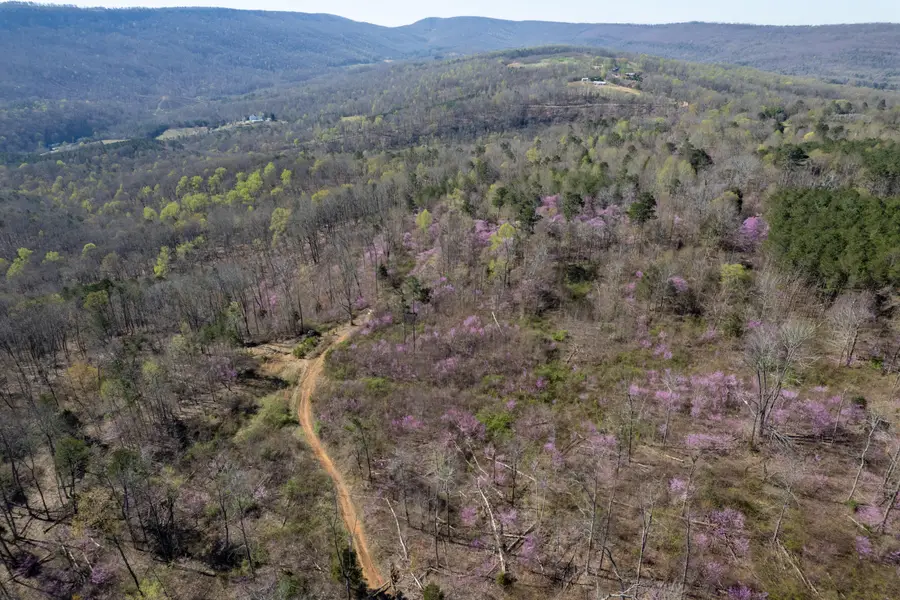 3607 Co Rd 792, Flat Rock, AL 35966 - Image #3