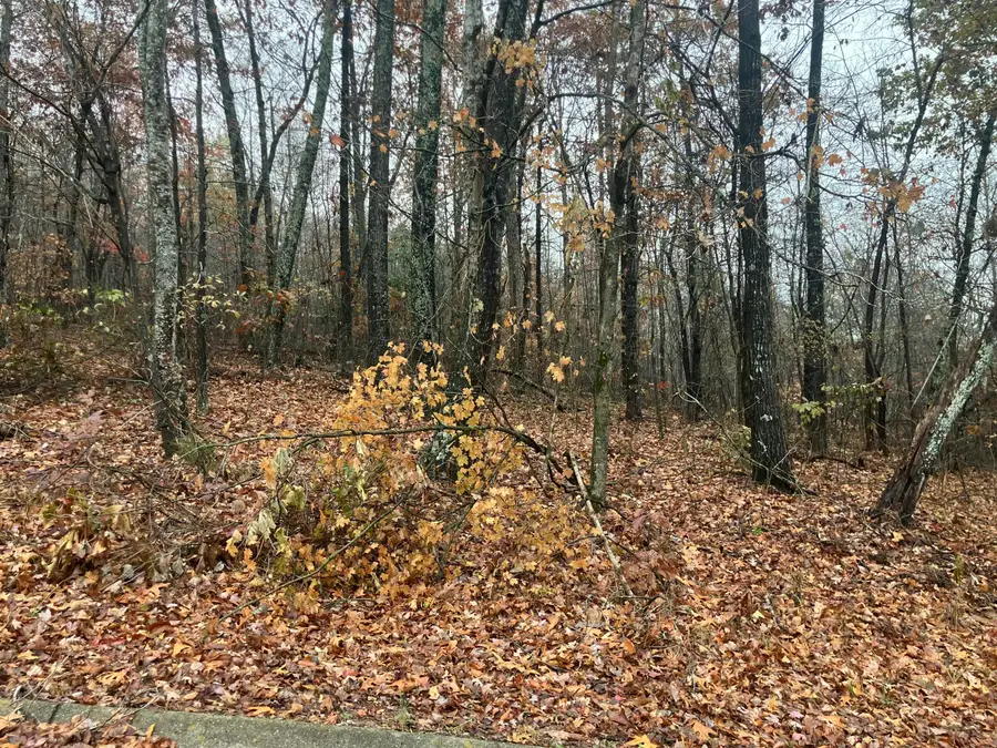 5 Timber Ridge, Kimball, TN 37347 - Image #3