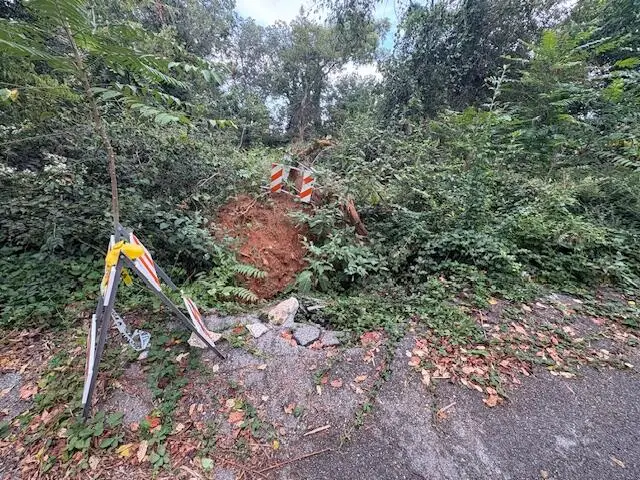 248 Buena Vista Drive, Chattanooga, TN 37404 - Image #2