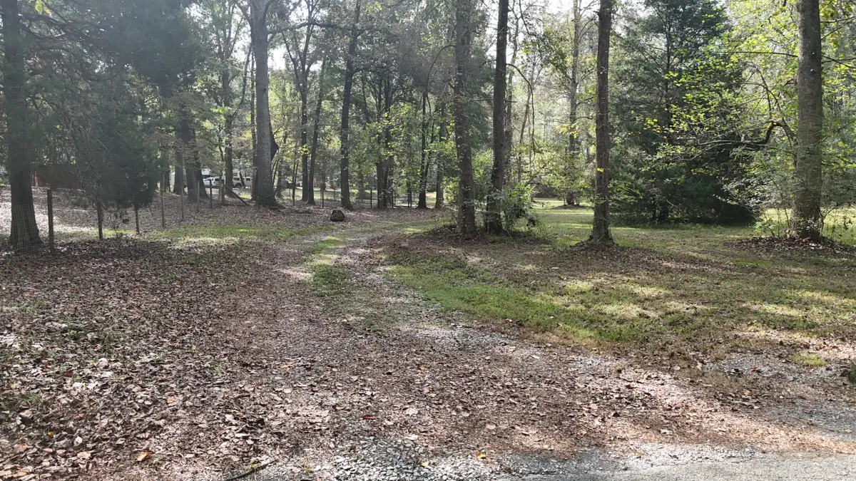 262 Davis Road Se, Old Fort, TN 37362 - #1