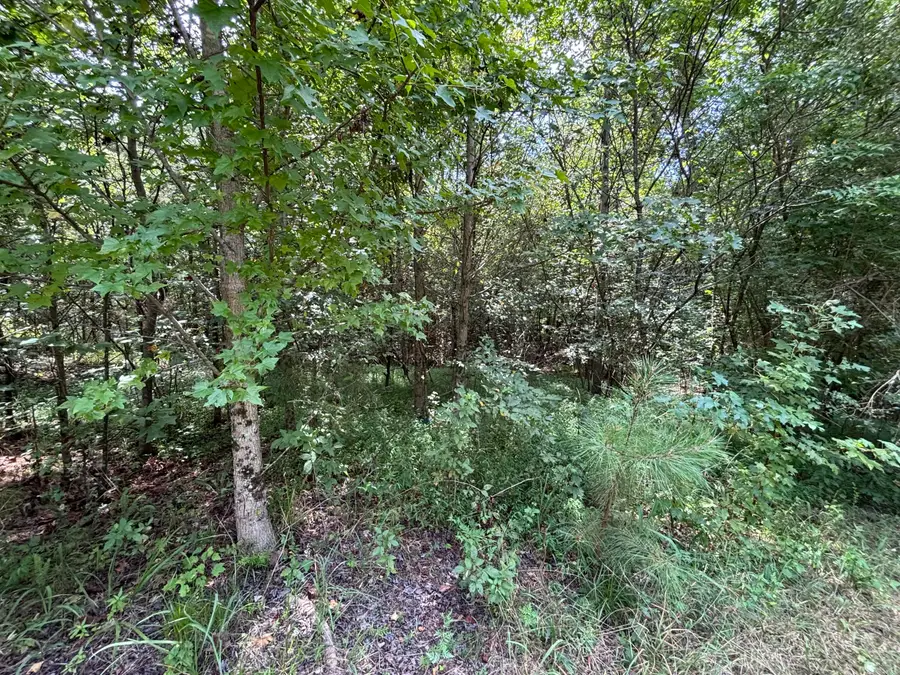 12 Fife Street, South Pittsburg, TN 37380 - Image #3