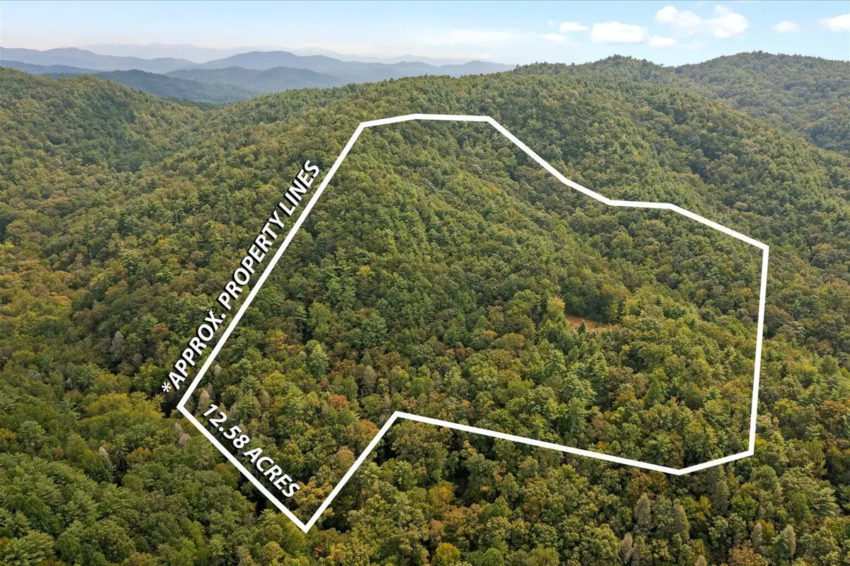 0 Grassy Mountain Road, Chatsworth, GA 30705 - #1