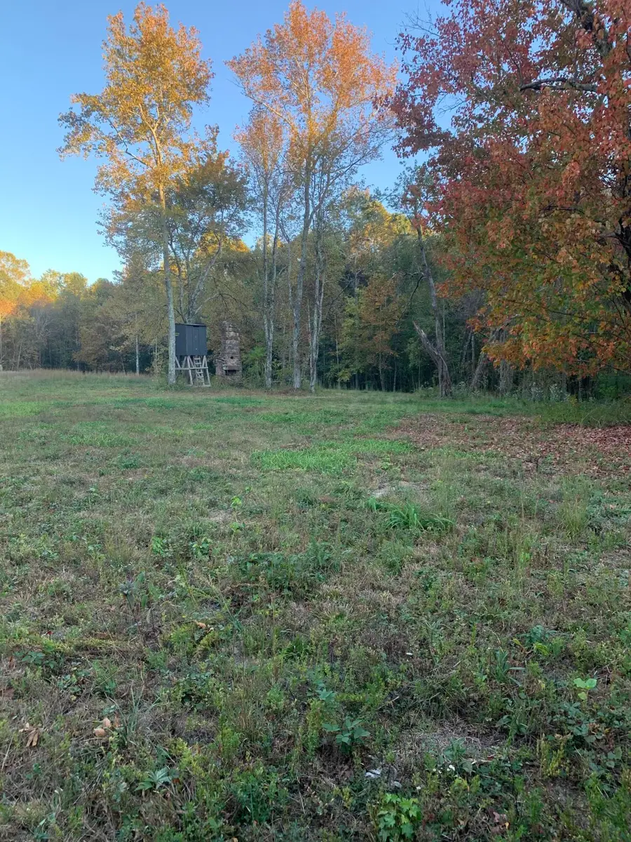 7.72 Ac 660 County Road 724, Bryant, AL 35958 - Image #2