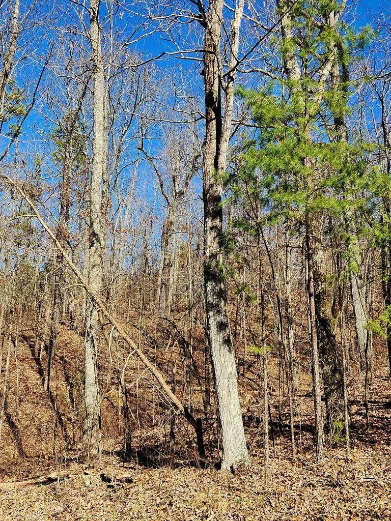 0 Northwoods Lane #15, Trenton, TN 30752 - #1