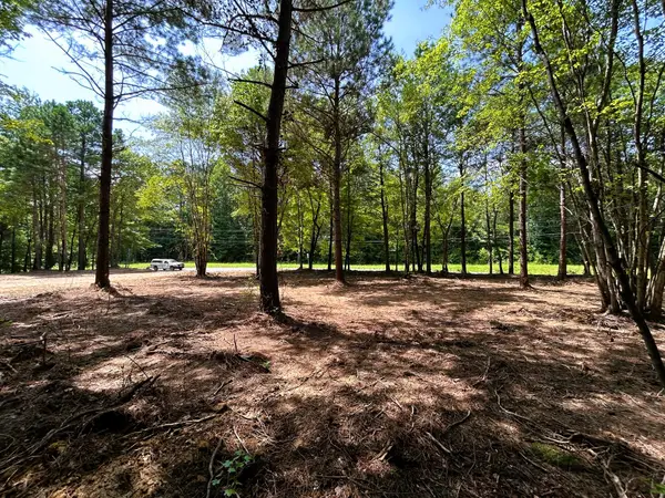 Lot 3 Highway 304, Ten Mile, TN 37880