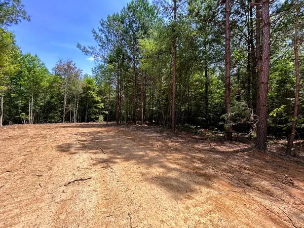 Lot 2 Highway 304, Ten Mile, TN 37880