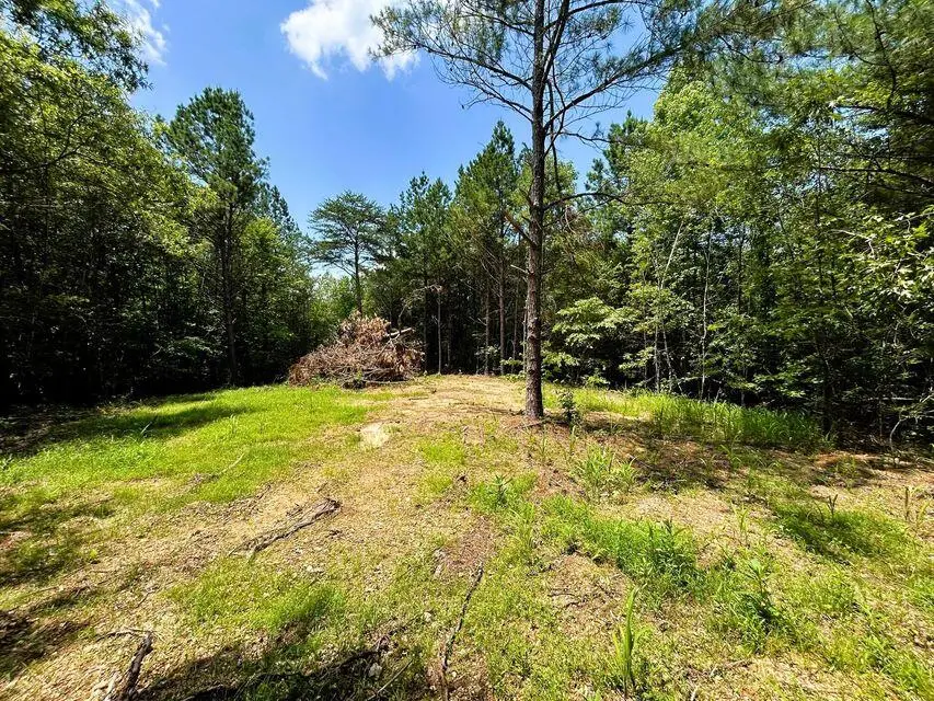 Lot 1 Highway 304, Ten Mile, TN 37880 - Image #1