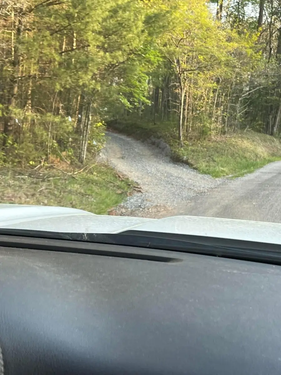 253 Finger Board Road, Tellico Plains, TN 37385 - Image #2