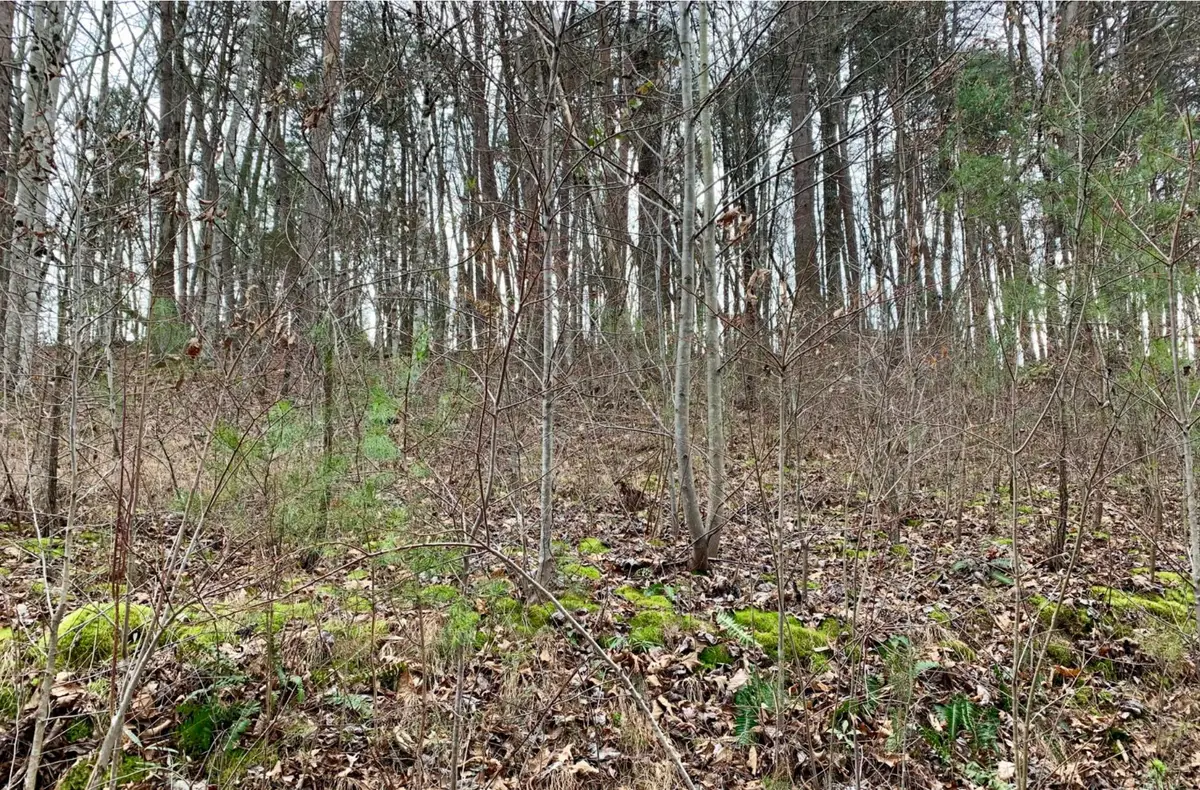 800 Lee Pike, Soddy Daisy, TN 37379 - Image #1