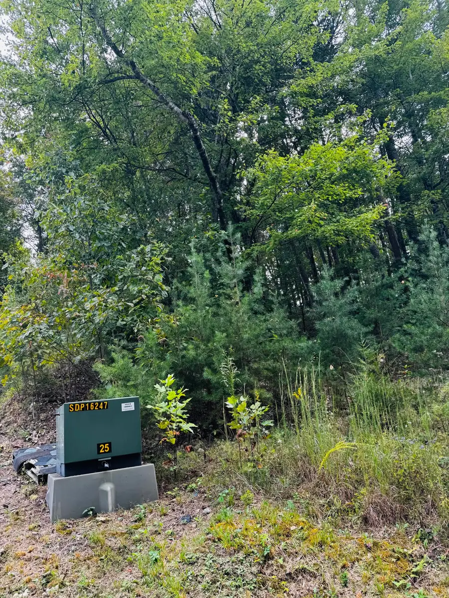 800 Lee Pike, Soddy Daisy, TN 37379 - Image #3