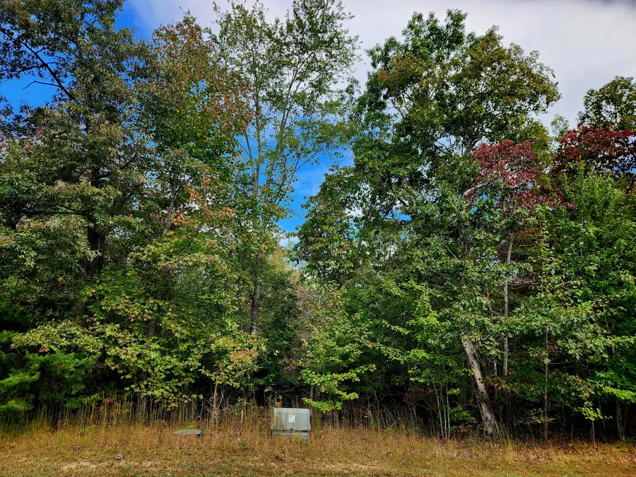 0 Deer Run #179a, Spencer, TN 38585 - Image #3