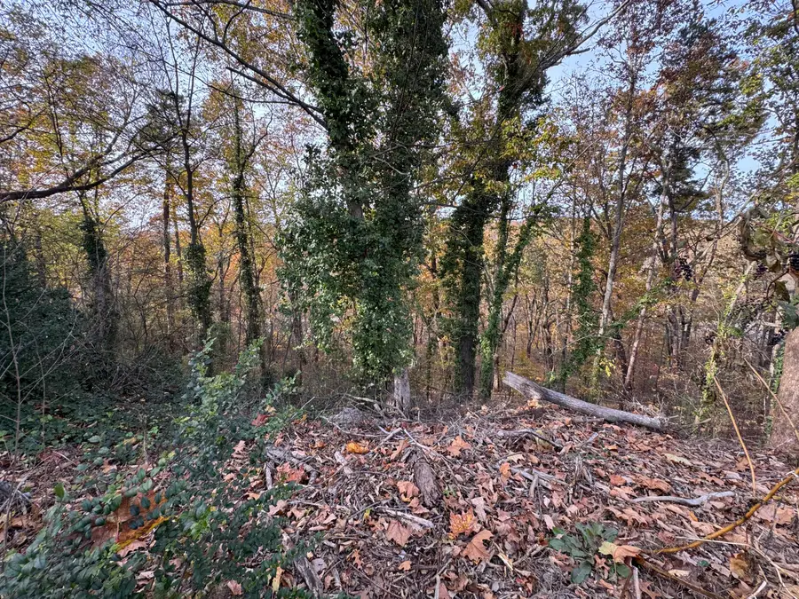 9001 Kesler Lane, Chattanooga, TN 37421 - Image #2