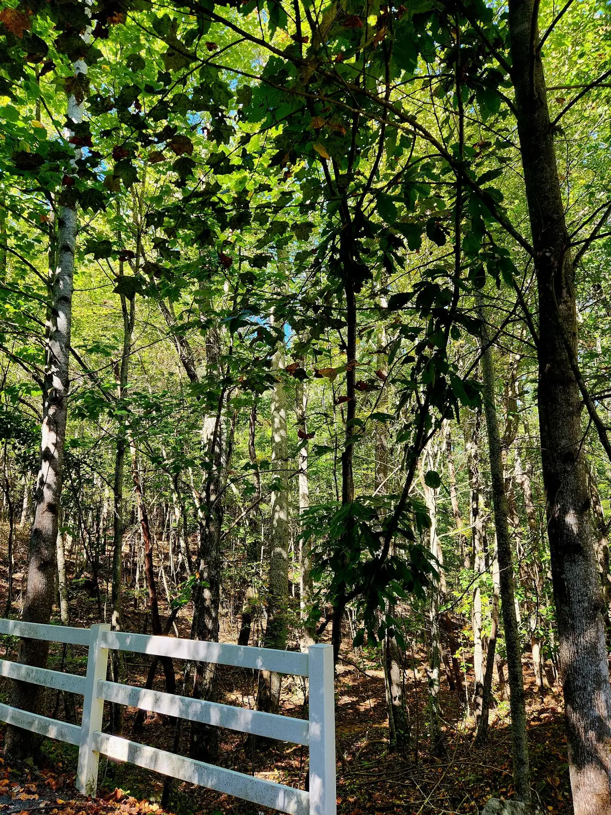 0 Ridge Wood Lane #392, Spencer, TN 38585 - Image #1