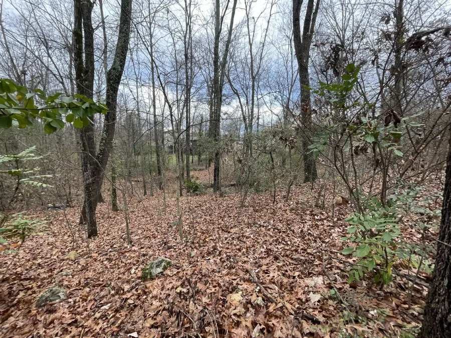 1325 Timbercrest Lane, Chattanooga, TN 37421 - Image #3