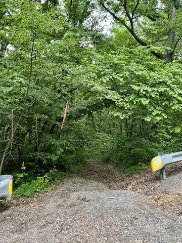 0 Cove, Lot 64 Trail, Whitwell, TN 37397 - Image #2