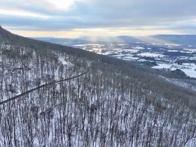 0 Cove, Lot 65 Trail, Whitwell, TN 37397 - Image #3