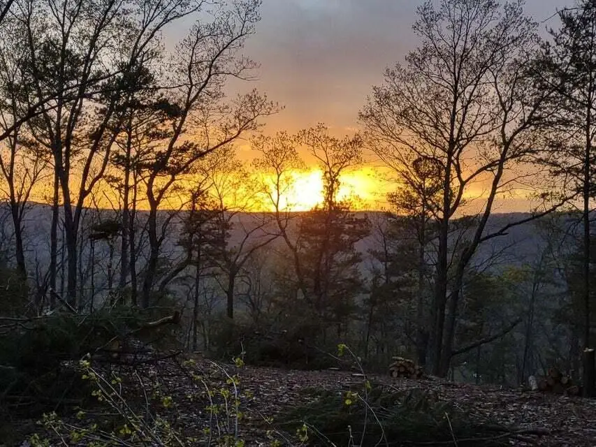 5400 Old State Road #2, Menlo, GA 30731 - Image #1