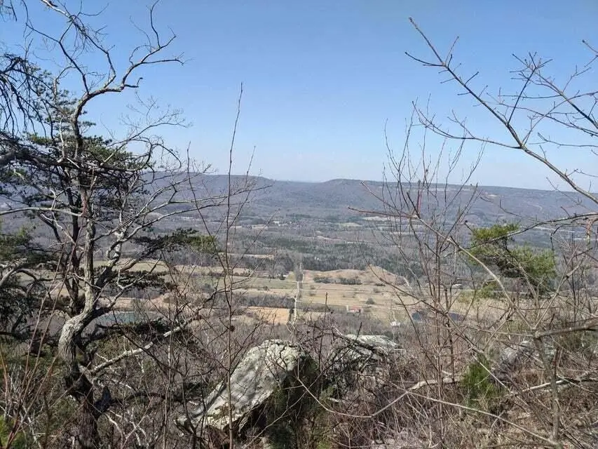 5400 Old State Road #2, Menlo, GA 30731 - Image #2