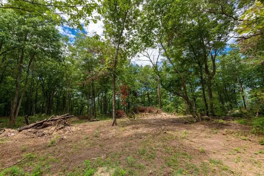 5370 Old State Road #3, Menlo, GA 30731 - Image #3