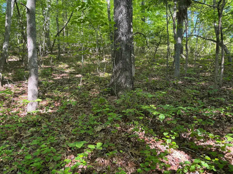 Lot 25 Van Davis Road Nw, Georgetown, TN 37336 - Image #3