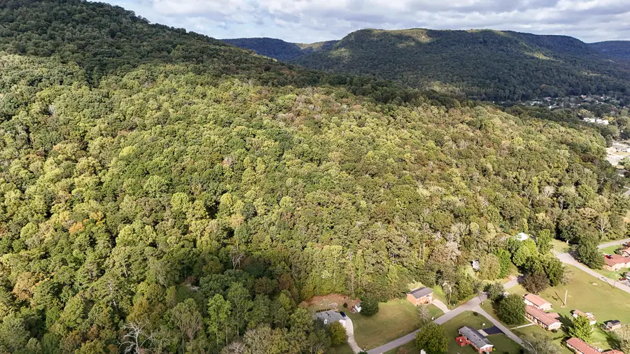 415 Marshall Hall Road, Jasper, TN 37347 - Image #2