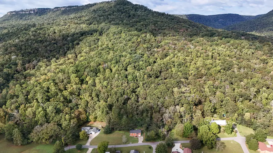 415 Marshall Hall Road, Jasper, TN 37347 - Image #3