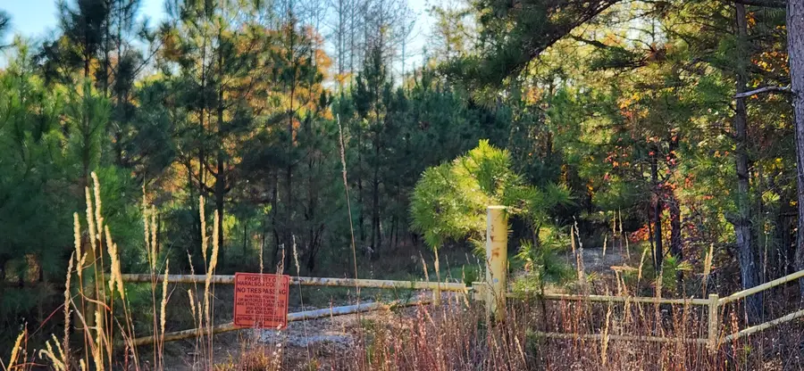 0 Budapest Rd Road, Tallapoosa, GA 30176 - Image #2