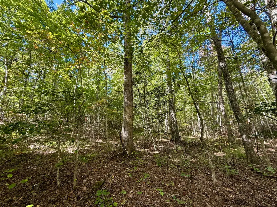 0 Owl Hollow Road #Lot 2, Palmer, TN 37365 - Image #2
