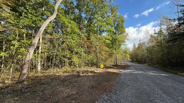 0 Owl Hollow Road #Lot 3, Palmer, TN 37365