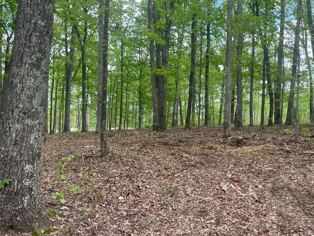 133 Shelton Cemetery Road, Cumberland Furnace, TN 37051 - Image #1