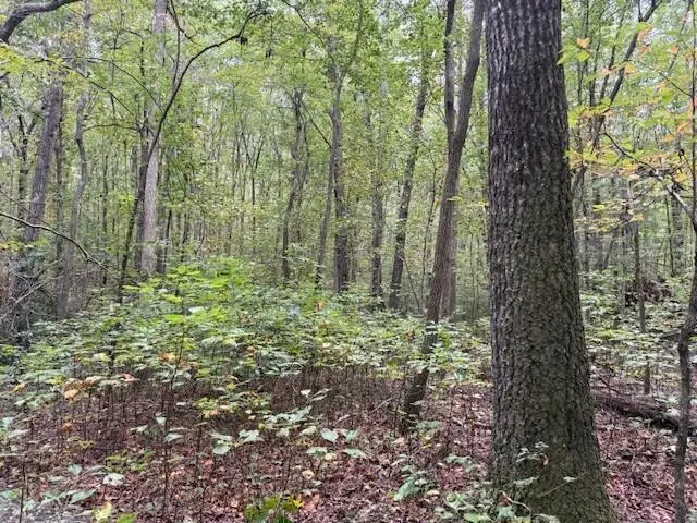 Lot 2 Tipple Road #2, Tracy City, TN 37387 - Image #1