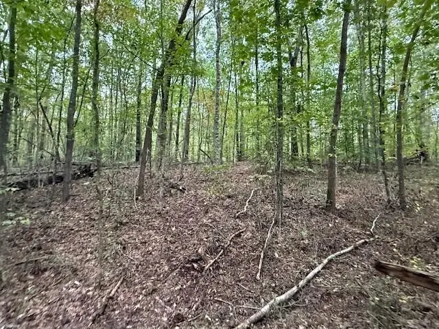 Lot 4 Tipple Road #4, Tracy City, TN 37387 - Image #2