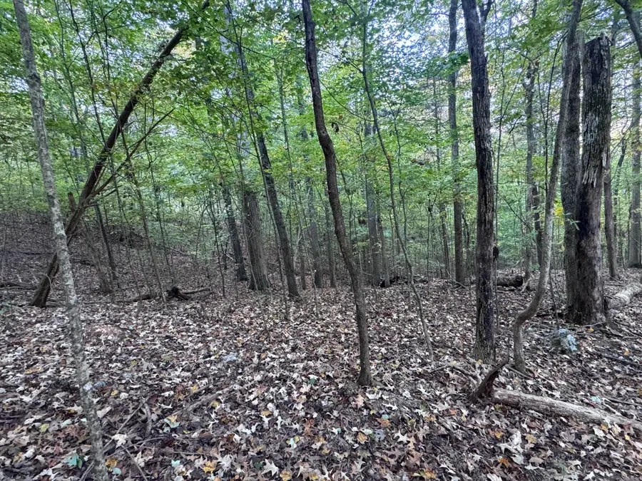 000 Geren Subdivision Lane, Decatur, TN 37322 - Image #2