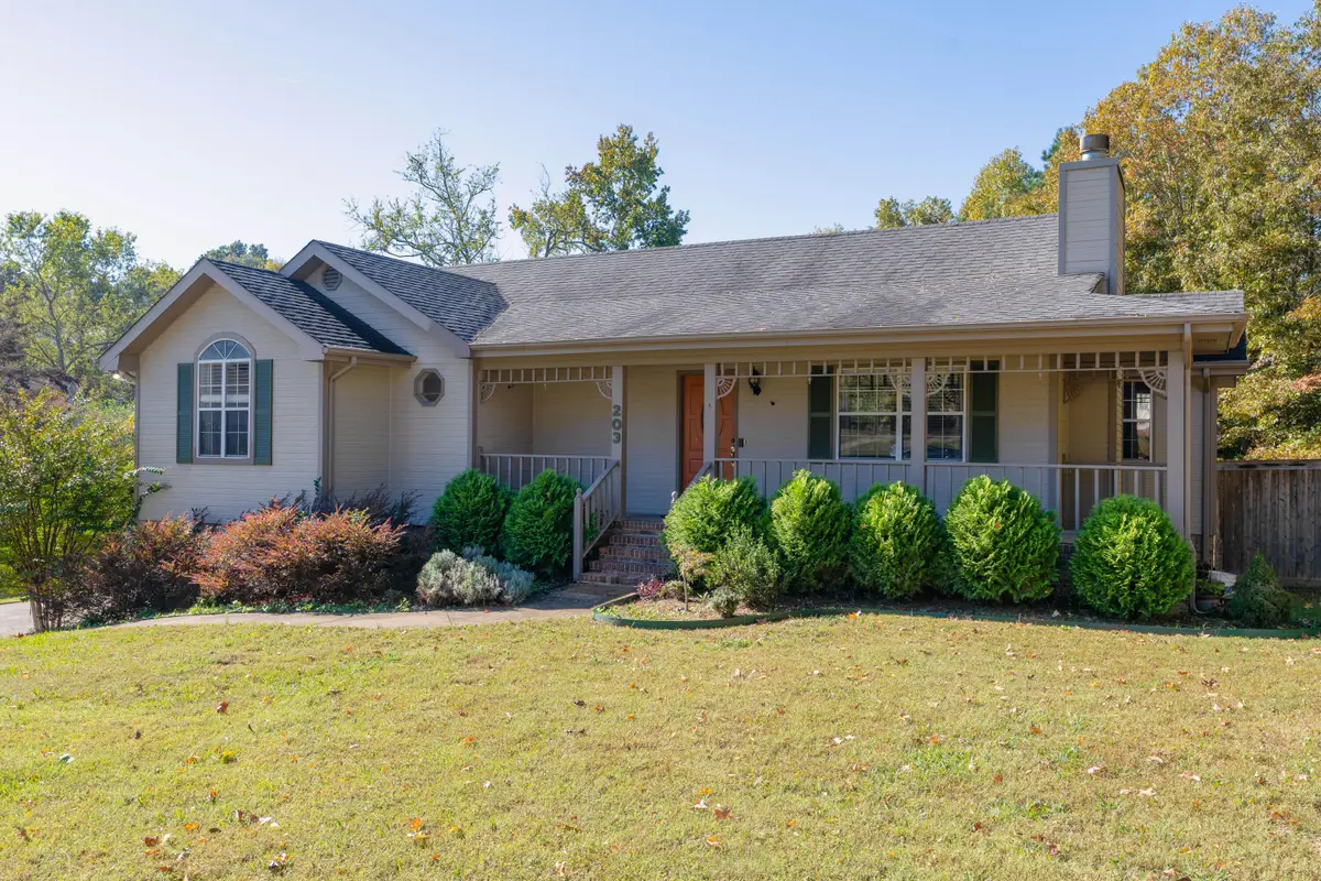 203 Spring Valley Lane, Ringgold, GA 30736 - Image #1
