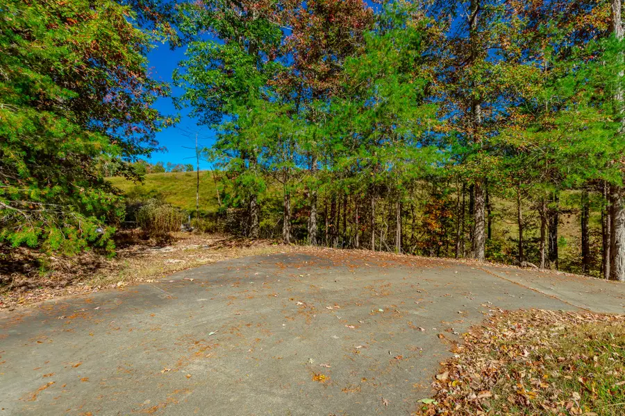 9739 Timberview Trail, Ooltewah, TN 37363 - Image #3